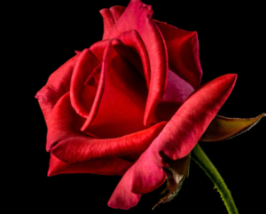 Bachelor In Paradise: Sean And Allyshia Firebomb Kat During Finale